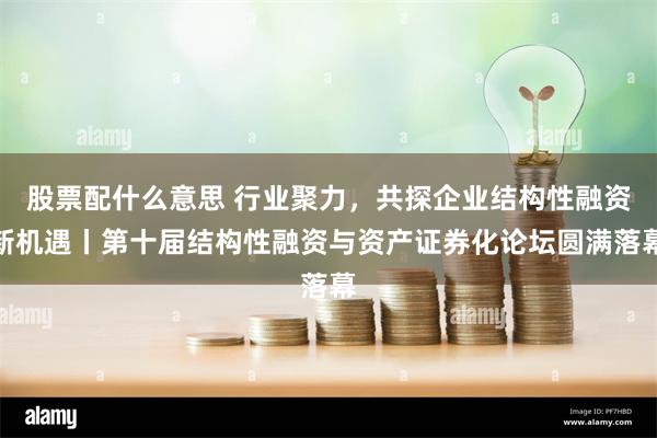 股票配什么意思 行业聚力，共探企业结构性融资新机遇丨第十届结