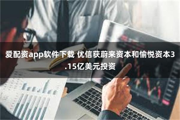 爱配资app软件下载 优信获蔚来资本和愉悦资本3.15亿美元