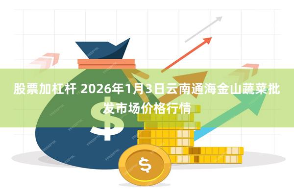 股票加杠杆 2026年1月3日云南通海金山蔬菜批发市场价格行